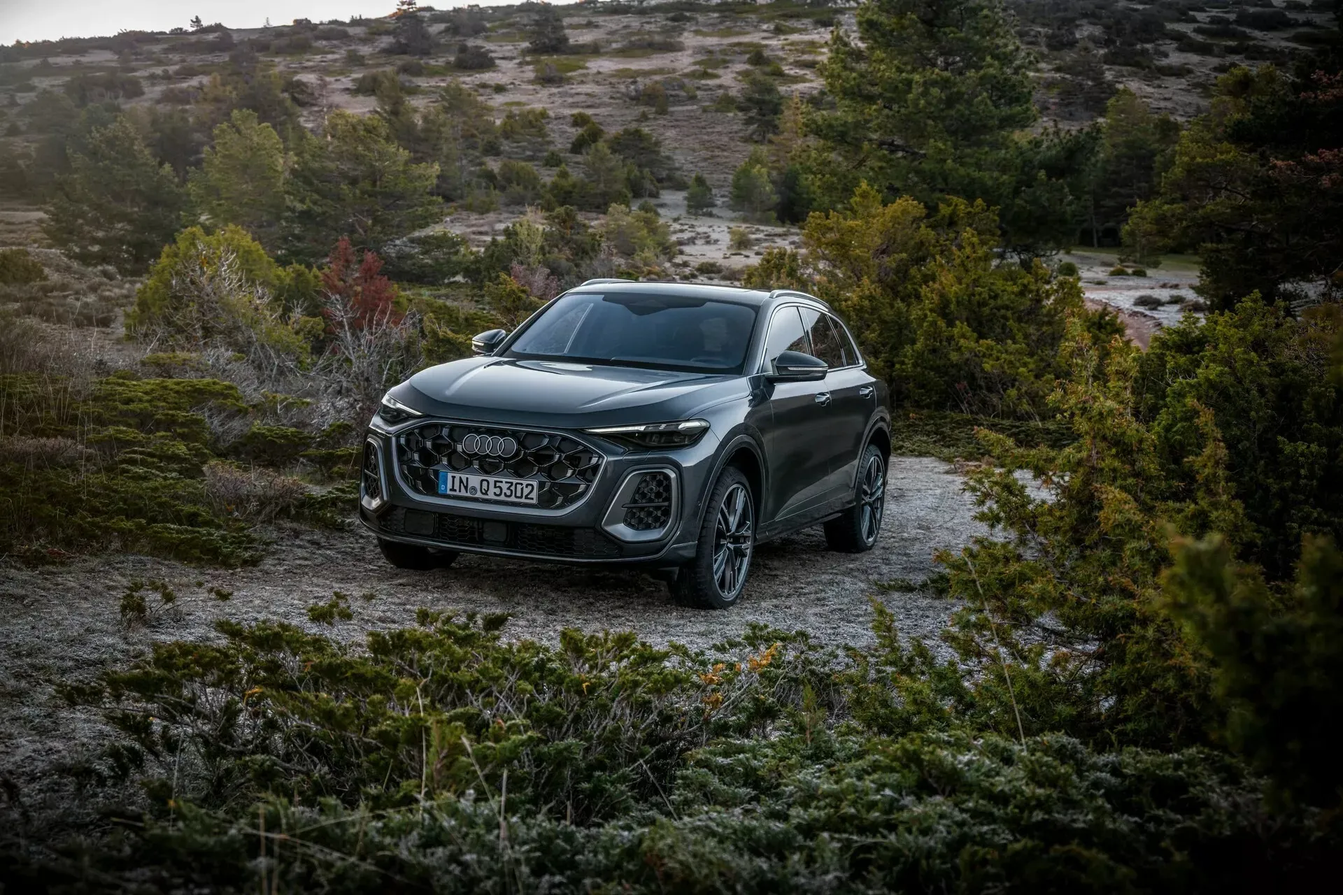 Audi Q5 all new