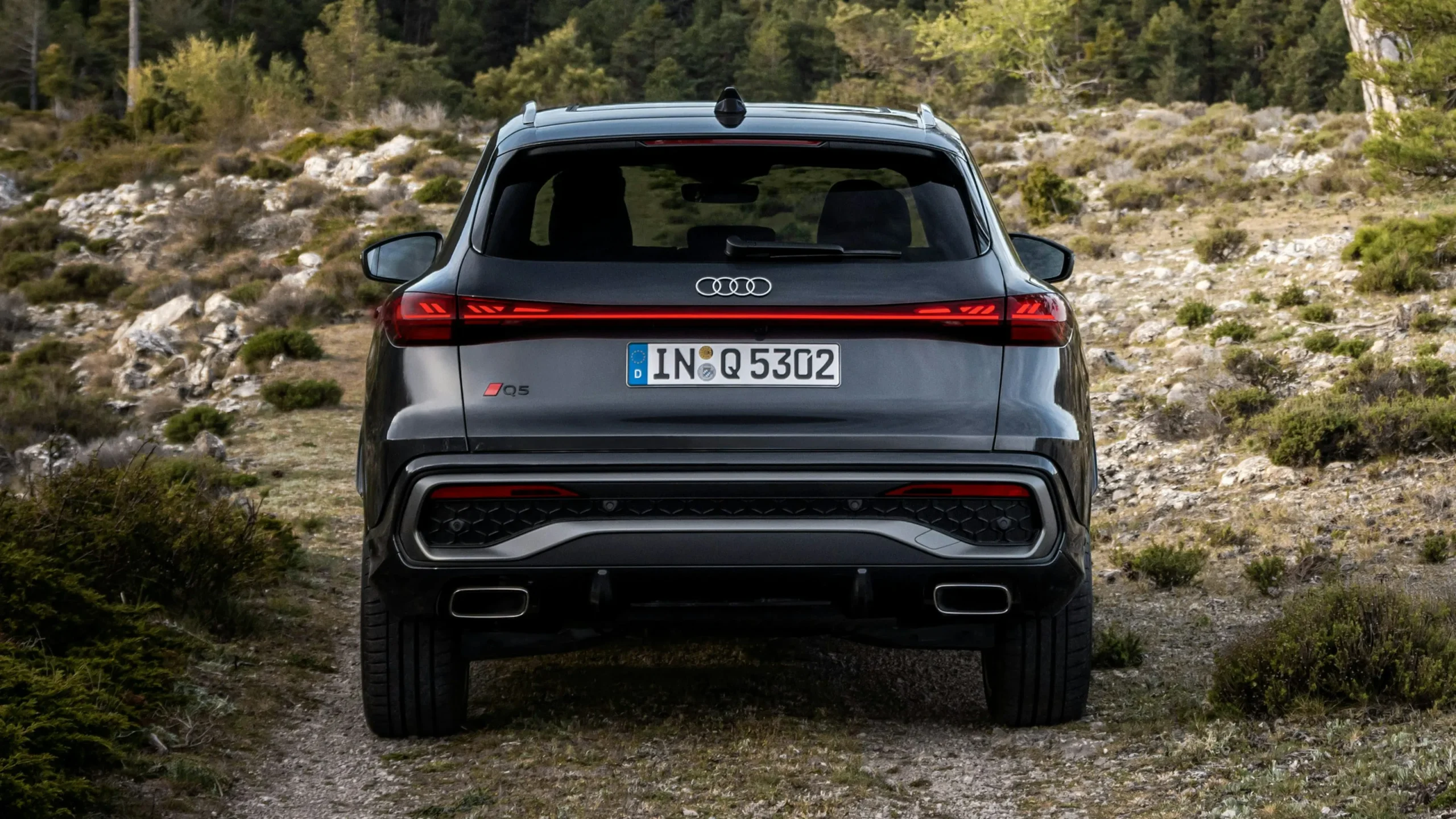 Audi Q5 all new