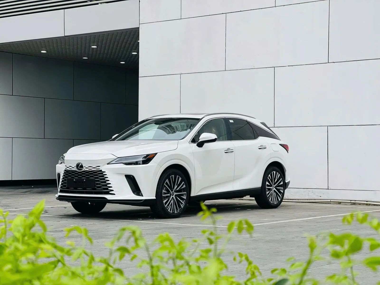 Lexus RX thế hệ 5